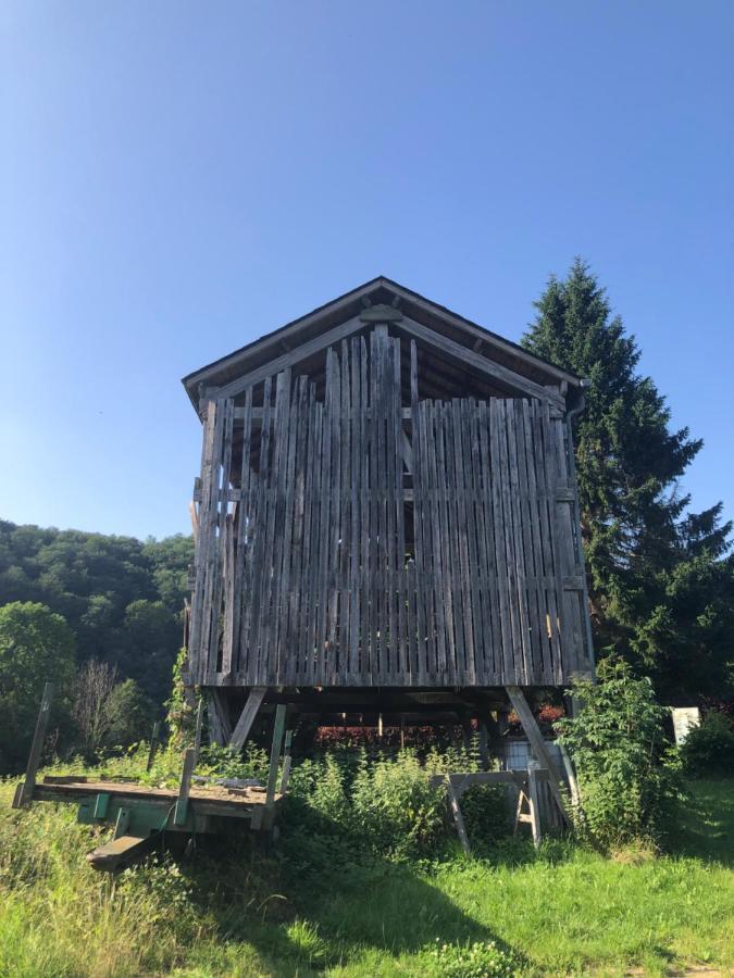 Les Caliciades 3 A Gros-Fays Apartment Bievre Bagian luar foto