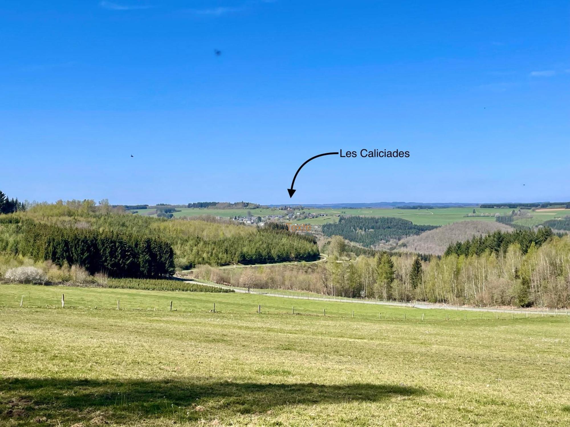 Les Caliciades 3 A Gros-Fays Apartment Bievre Bagian luar foto